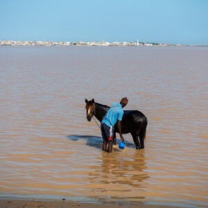 A man washes his horse in water that is getting closer and closer to the shore due to the climate crisis.